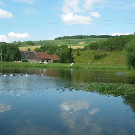 Domaine Du Moulin De L'Etang Bed & Breakfast Chatillon-sur-Marne Exterior photo