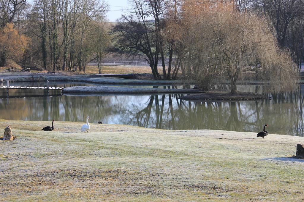 Domaine Du Moulin De L'Etang Bed & Breakfast Chatillon-sur-Marne Exterior photo