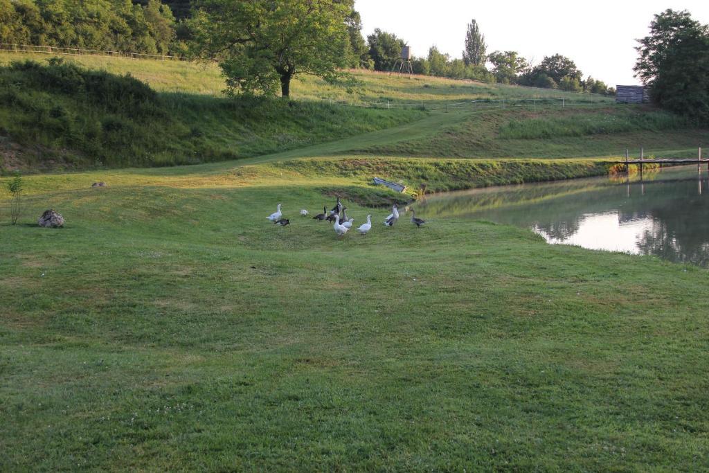 Domaine Du Moulin De L'Etang Bed & Breakfast Chatillon-sur-Marne Exterior photo